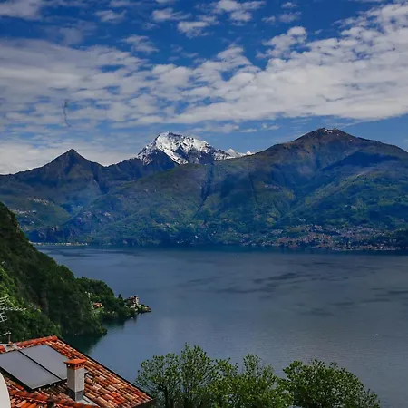 Le Petit Palais * Plesio